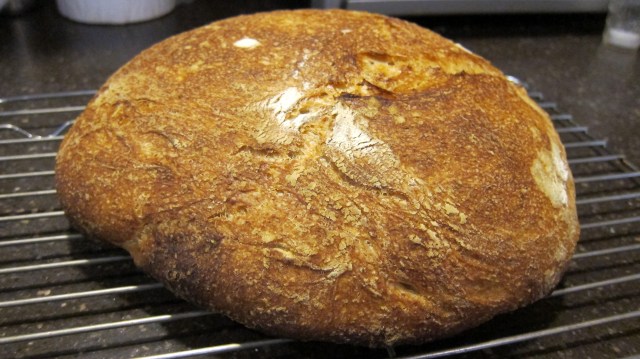 IMG_2522Rustic Sourdough Bread Cooking Italian Comfort Food
